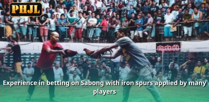 Experience in betting on Sabong with iron spurs