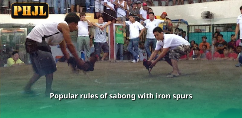 Popular rules of sabong with iron spurs