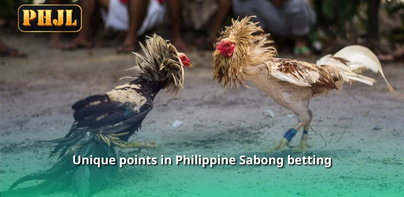 Unique points in Philippine Sabong betting